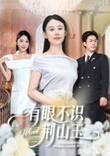 有眼不识荆山玉（58集）徐香颖 高清完整版