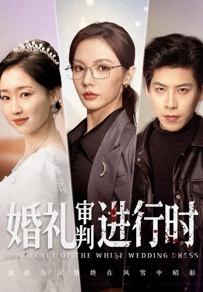 婚礼审判进行时（62集）王为洋＆倪若芸 高清完整版