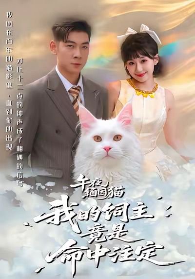 午夜缅因猫我的饲主竟是命中注定（66集）白龙＆王之遥 高清完整版