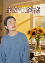 主妇的逆袭（28集） 高清完整版