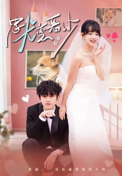 惊！我家来福变恶少了＆忠犬变恶少（80集）曹竣柯＆赵影 高清完整版