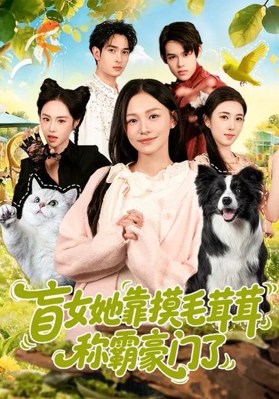 盲女她靠摸毛茸茸称霸豪门了（84集）陈洁怡&范骏羽 高清完整版