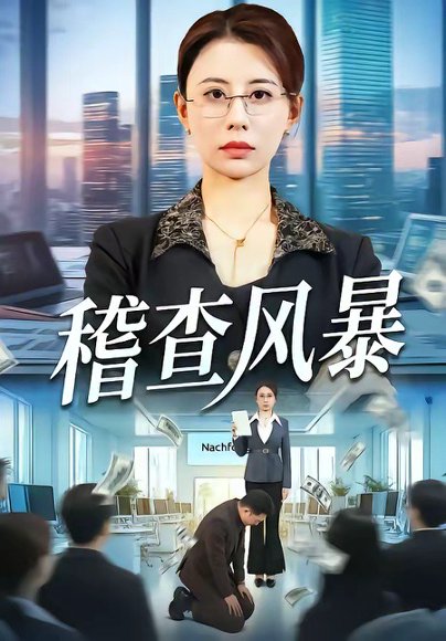 稽查风暴（79集）郑天阳＆徐香颖 高清完整版